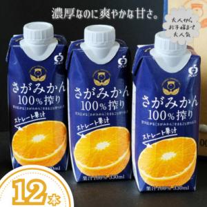 ふるさと納税 佐賀市 さがみかん100%搾り 12本(佐賀市)