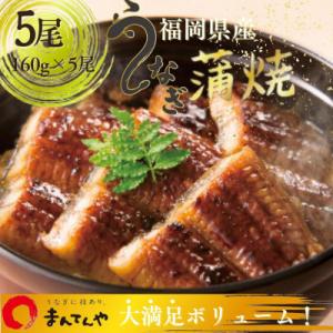 福岡県産うなぎ蒲焼大5尾(合計800g)