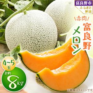 【2026年発送　先行受付】富良野メロン　赤肉4～5玉　計約8kg