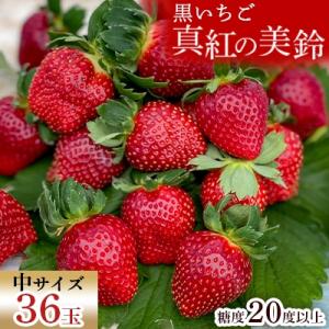 【2027年1月発送開始】【黒いちご】・真紅の美鈴(中サイズ)
