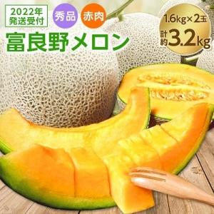 ふるさと納税 富良野市 富良野　メロン　秀品　赤肉約1.6kg×2玉　計約3.2kg