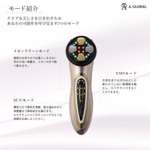 ふるさと納税 羽島市 Miss Arrivo ...の詳細画像2