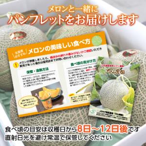 ふるさと納税 富良野市 【2026年発送】富良...の詳細画像3