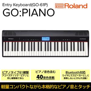ふるさと納税 浜松市 【Roland】61鍵電子ピアノ/GO:PIANO