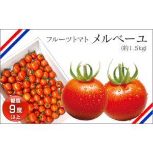 ふるさと納税 高知市 高知産フルーツトマト「メルベーユ」　約1.5kg　【CA85】