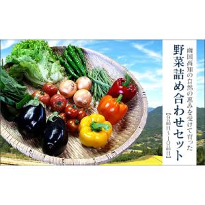 ふるさと納税 高知市 季節の野菜詰め合わせセット　【CA95】