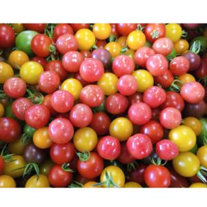 ふるさと納税 玉名市 サザキ農園の「ぷちぷよ」入りミックスミニトマト彩りバラエティーセット3kg