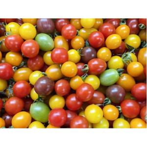 ふるさと納税 玉名市 サザキ農園のミックスミニトマト彩りバラエティーセット2kg