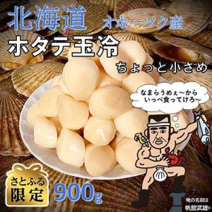 ふるさと納税 雄武町 【さとふる限定】オホーツク産　ホタテ玉冷(900g) 【HT0032】