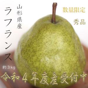 ふるさと納税 山形県 ※数量・※　山形県産ラフランス　秀品　<約3kg>