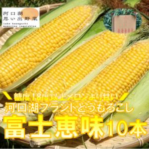 【2026年7月下旬より発送】糖度18度以上!一度食べたらやみつき富士恵味とうもろこし10本セット