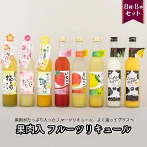 果肉入りフルーツリキュール8種8本セット(各500ml)