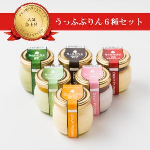 ふるさと納税 茨木市 うっふぷりん6種セット　12個入