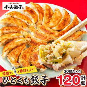 冷凍餃子専門店 小山餃子 ひとくち餃子 120個