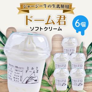 ふるさと納税 吉賀町 ジャージー牛の生乳を使用したソフトクリーム　ドーム君　6個入り