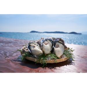 ふるさと納税 備前市 日生頭島殻付カキ「島のしずく」(加熱用・食べごろサイズ約40個)