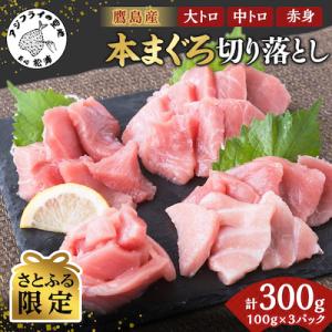 ふるさと納税 松浦市 【さとふる限定】鷹島産本まぐろ　赤中大切落し300g(食べ切りサイズ100g×3)