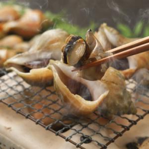 小林さん家の宗谷岬産つぶ煮　2kgセット