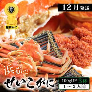 アイテムID:337089の画像1枚目