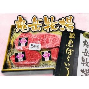 ふるさと納税 長崎県 長崎和牛 出島ばらいろ ヒレステーキ2枚& サーロインブロック