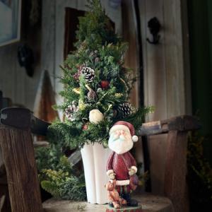 アイテムID:406552の画像1枚目