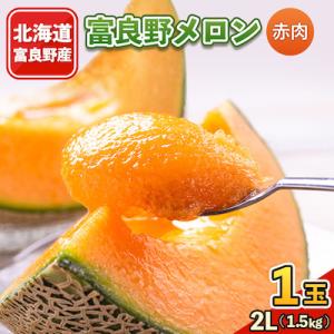 2026年先行予約 富良野メロン　2Lサイズ(1.5kg)赤肉 1玉入り