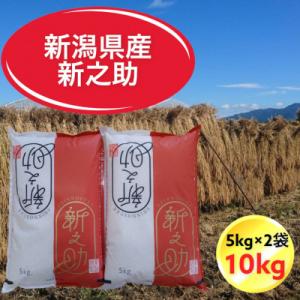 令和7年産　新潟県胎内市産新之助10kg(5kg×2袋)(精米)