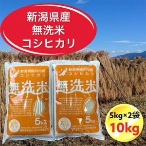 ふるさと納税 胎内市 令和7年産 新潟県胎内市産...の商品画像
