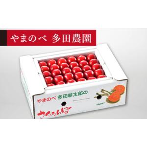 アイテムID:350261の画像1枚目