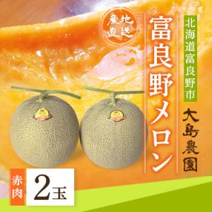 【先行予約】富良野メロン　赤肉2玉　北海道富良野市『大島農園』