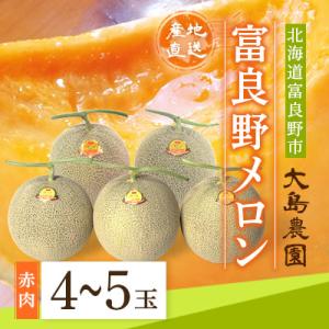 【先行予約】富良野メロン　赤肉4～5玉　北海道富良野市『大島農園』