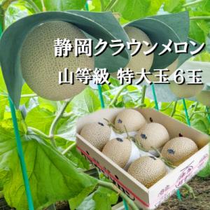 ふるさと納税 森町 クラウンメロン【上(山等級)】特大玉(1.5kg前後)6玉入り【森町SF】