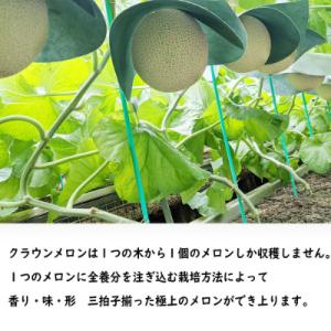 ふるさと納税 森町 クラウンメロン【上(山等級...の詳細画像2