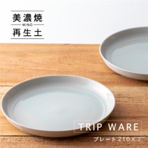ふるさと納税 瑞浪市 【美濃焼・tripware】グッドデザイン賞受賞 プレート210　2枚　水釉