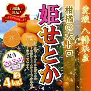 ふるさと納税 八幡浜市 柑橘の大トロ!「姫せとか」約4kg　【C39-33】　