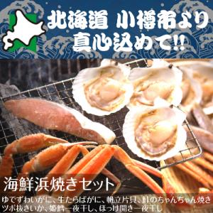 ふるさと納税 小樽市 北海道 小樽発　海鮮浜焼きセット　H(0080272)