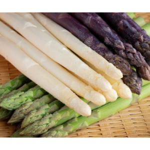 【先行受付】数量限定　定番のグリーンに希少な紫とホワイトを加えた3色アスパラセット 計約1kg