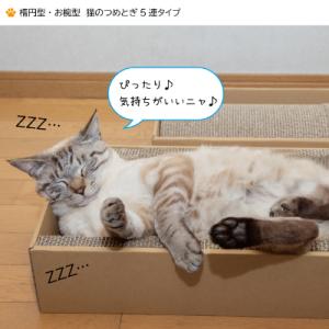ふるさと納税 中津川市 楕円型 お椀型 猫のつ...の詳細画像2