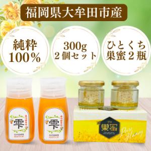 ふるさと納税 大牟田市 坂井養蜂場　みつばちの雫+プチ巣蜜セット　国産百花蜜300g×2　国産巣蜜3...