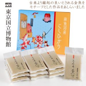 ふるさと納税 南魚沼市 南魚沼産こしひかり 真空パック300g×10袋　東京国立博物館コラボレーショ...