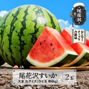 尾花沢すいか 3Lサイズ(約8kg)×2玉 令和8年産 2026年産 JA ja-su3xx2
