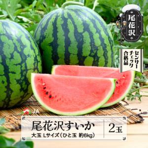 尾花沢すいか Lサイズ(約6kg)×2玉 令和8年産 2026年産 JA ja-su1xx2