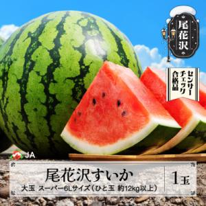 尾花沢すいか スーパー6Lサイズ(約12kg以上)×1玉 令和8年産 JA ja-sus6x1