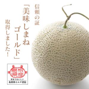 メロンパークのメロン【2026年10月発送・2Lサイズ1玉】