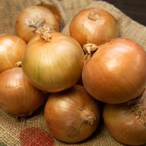 ふるさと納税 富良野市 ふらの産玉ねぎ　約20kg