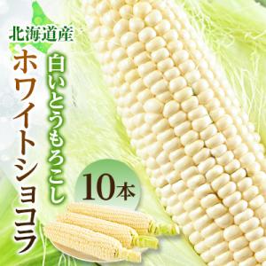 朝もぎ白いとうもろこし「ホワイトショコラ」10本入