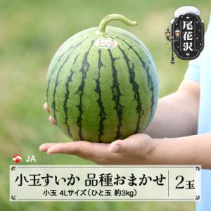 尾花沢産小玉すいか 4Lサイズ(約3kg)×2玉 令和8年産 JA ja-suk4x2