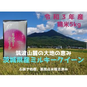 ふるさと納税 土浦市 【2月発送】【令和3年産】ミルキークイーン冷めても美味しいお米(精米)5kg×1袋