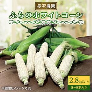 【2026年発送】富良野 ホワイトコーン 2.8㎏(8～9本)スイートコーン　とうもころし
