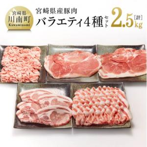 ふるさと納税 川南町 様々な料理にお使いいただけます! 宮崎県産 豚肉 バラエティ 4種 セット 2.5kg